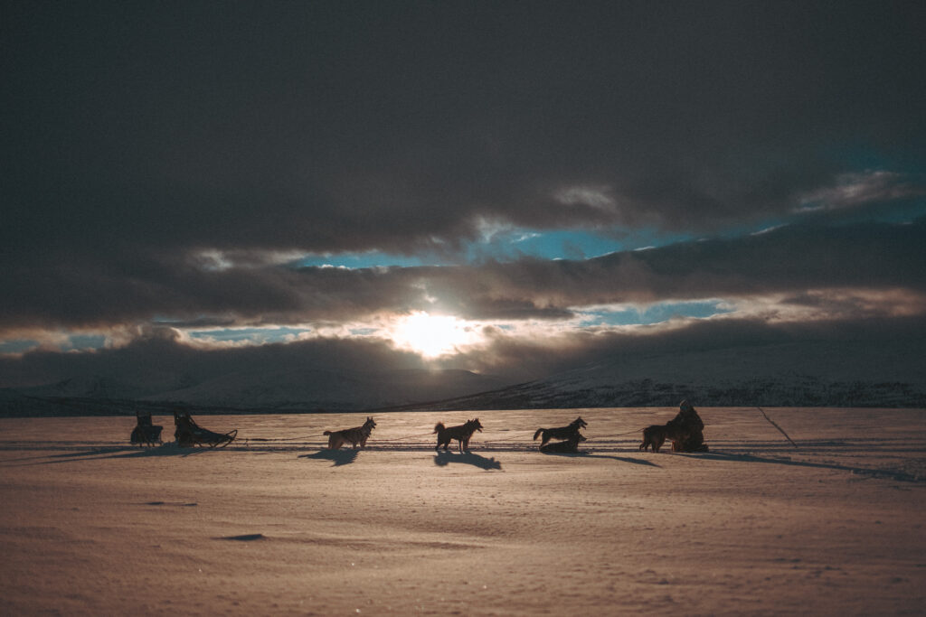 image00032